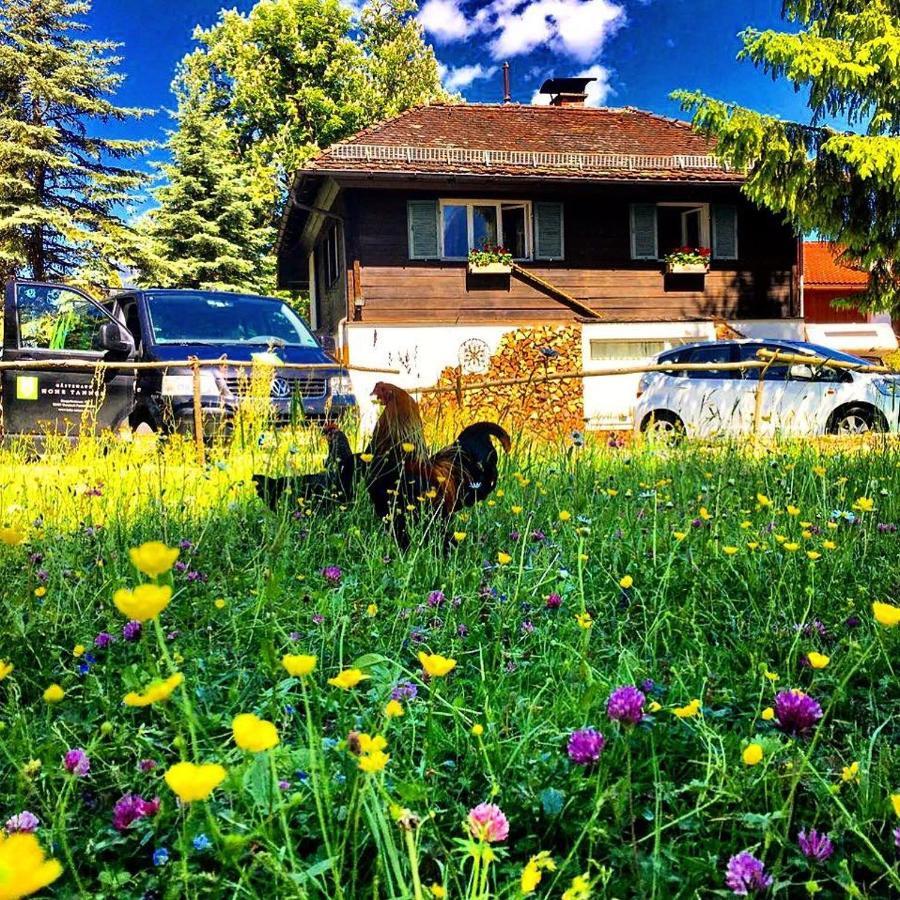 Gaestehaus Hohe Tannen Garmisch-Partenkirchen Luaran gambar
